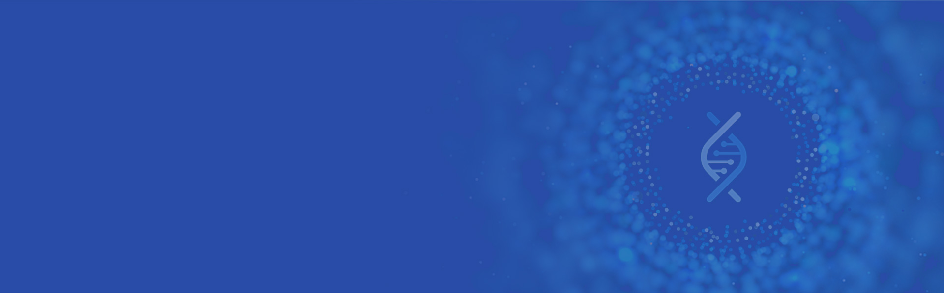 n_banner6