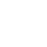 structure_ico1s